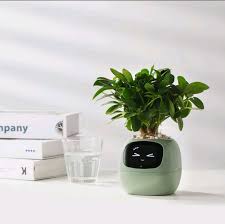 Your New Favorite Low-Maintenance Roommate